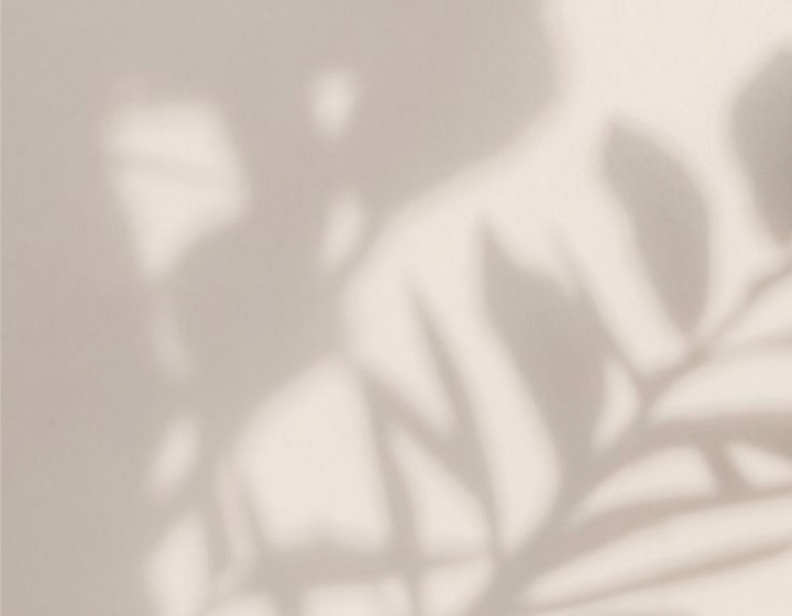 Shampoos & Conditioners